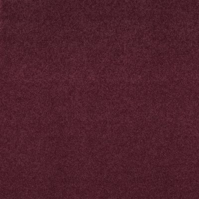 Shaw Floors Gaviota I 12 Radiant Orchid 00931_SNS68