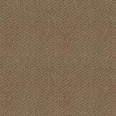 Shaw Floors El Capitan II Raw Wood 00720_SNS73