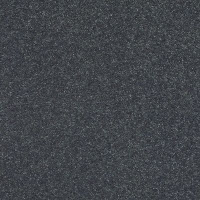 Shaw Floors Point Sur II 12 Iron 00501_SNS78