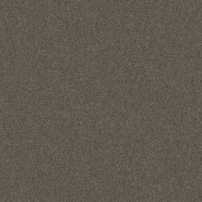 Shaw Floors Simply The Best Pl Klipsan Beach Boardwalk 00702_SNS85