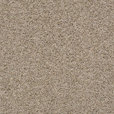 Shaw Floors Surfside Beach Cork 00220_SNS86