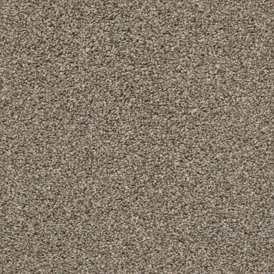 Shaw Floors Surfside Beach Chic Taupe 00714_SNS86