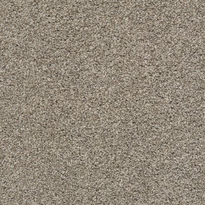Shaw Floors Surfside Beach Studio Loft 00722_SNS86