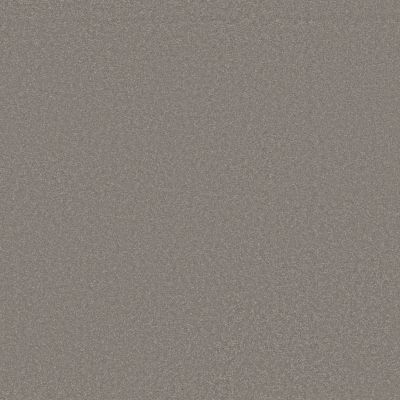 Shaw Floors Neptune II Boulder Taupe 00117_SNS91