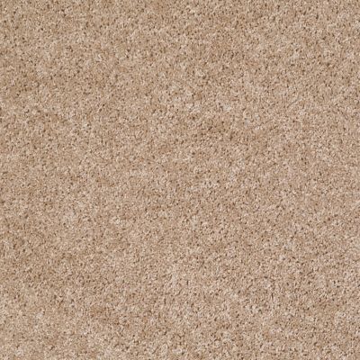 Shaw Floors Silver Strand Macaroon 00104_SOS54