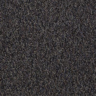 Philadelphia Commercial Special Project Commercial Sp527 Black Diamond 00501_SP527