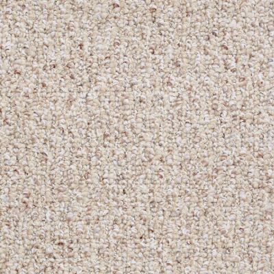 Shaw Floors Roll Special First Call 12 Sisal Weave 00200_SP611