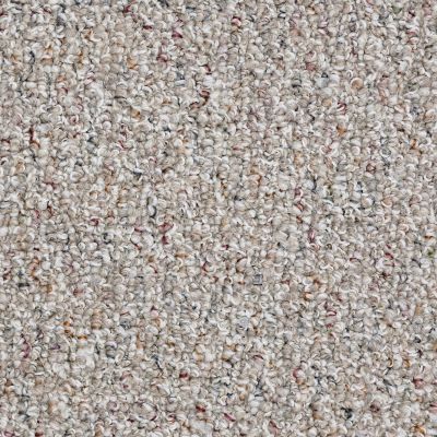 Shaw Floors Roll Special First Call 12 Tweed 00300_SP611