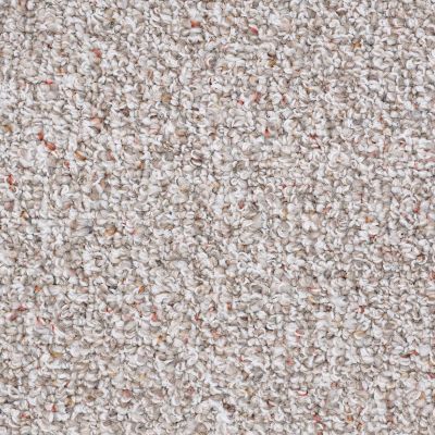 Shaw Floors Roll Special First Call 12 Pebble Path 00701_SP611