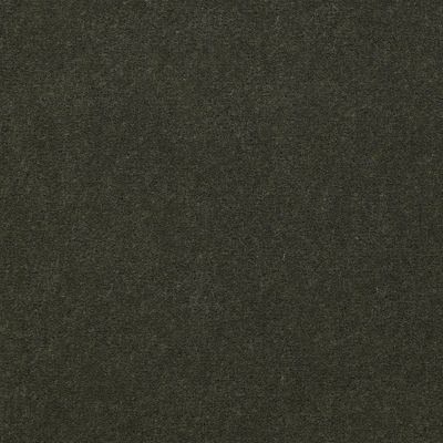 Philadelphia Commercial Special Project Commercial Sp660 Thyme 56314_SP660
