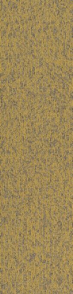 Philadelphia Commercial Special Project Commercial Sp726 9×36 Monadnock 26220_SP726
