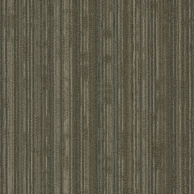 Shaw Floors Special Project Commercial Sp768 Twist 20210_SP768