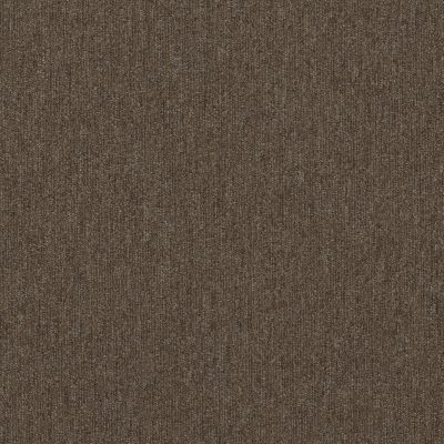 Shaw Floors Special Project Commercial Sp782 Fauna 00700_SP782
