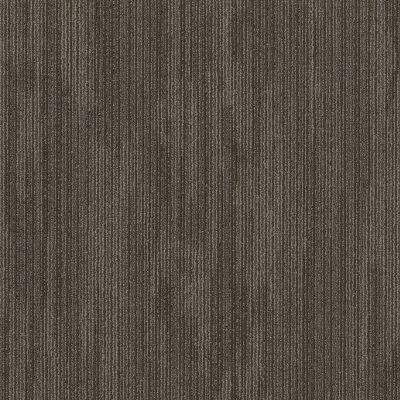 Shaw Floors Special Project Commercial Sp795 Indigenous 00200_SP795