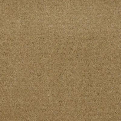 Philadelphia Commercial Special Project Commercial Sp845 Tuscan Gold 65191_SP845