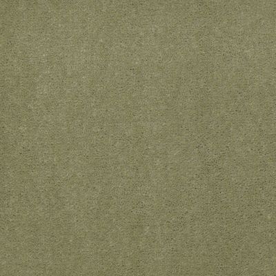 Philadelphia Commercial Special Project Commercial Sp845 Sea Grass 65370_SP845