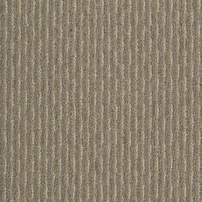 Philadelphia Commercial Special Project Commercial Sp920 Bayou Beige 00100_SP920