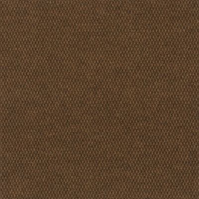 Philadelphia Commercial Special Project Commercial Sp934 Cinnabark 00601_SP934