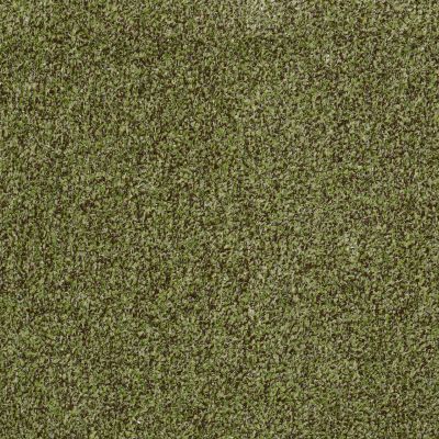 Philadelphia Commercial Special Project Commercial Sp940 Mossy Bark 00310_SP940