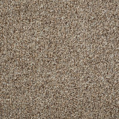 Philadelphia Commercial Special Project Commercial Sp940 Brown Sugar 00710_SP940