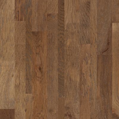 Shaw Floors Shaw Hardwoods Nashville Trolley 00429_SW481