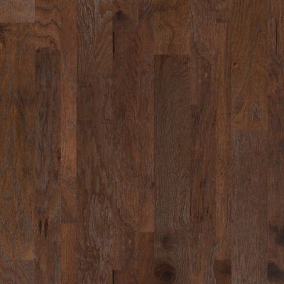 Shaw Floors Shaw Hardwoods Nashville Ryman 00996_SW481