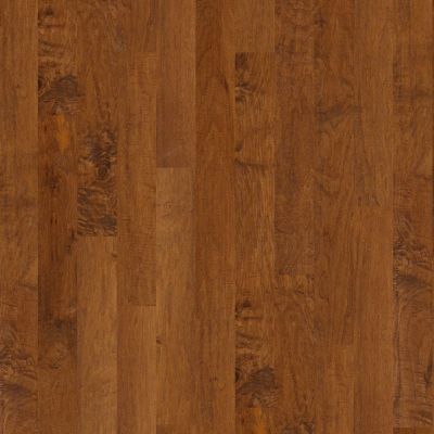 Shaw Floors Shaw Hardwoods Coral Springs Surfside 00460_SW591