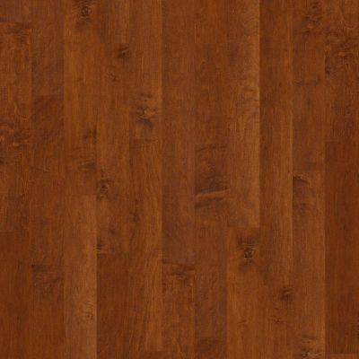 Shaw Floors Shaw Hardwoods Coral Springs Burnside 00627_SW591