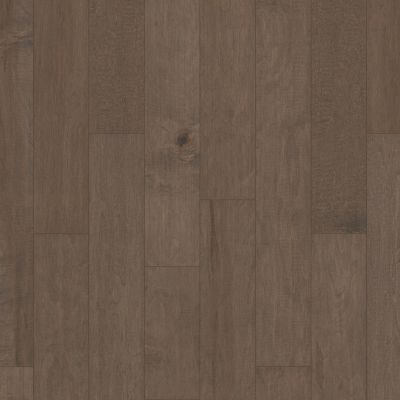 Shaw Floors Shaw Hardwoods Coral Springs Windsurf 05034_SW591