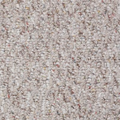 Shaw Floors Rare Blend 12 Canyon 00700_T3106