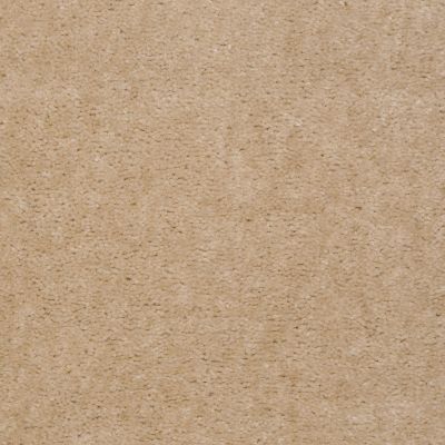Shaw Floors Carpet Land Atherton Unspecified 29106_T6291
