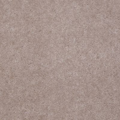 Shaw Floors Carpet Max Sugarbush Smokestone 38218_T8238