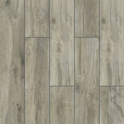 Shaw Floors Home Fn Gold Ceramic Bainbridge 8×48 Silver 00500_TG36A