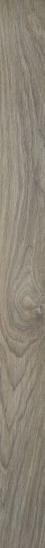 Shaw Floors Home Fn Gold Ceramic Revolution Bn Blend 00800_TGJ76