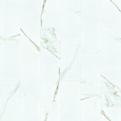 Shaw Floors Home Fn Gold Ceramic Stonehenge 12×24 Polish Calacatta 00121_TGK03