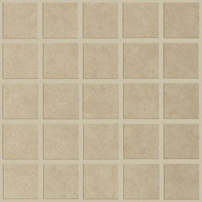 Shaw Floors Home Fn Gold Ceramic Contempo Mosaic Tabby 00200_TGM38