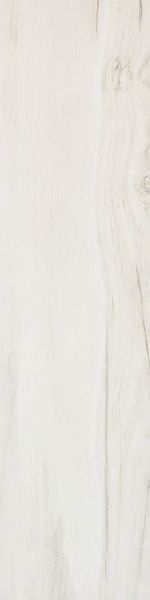Shaw Floors Home Fn Gold Ceramic Traveler 6×24 White 00100_TGN64