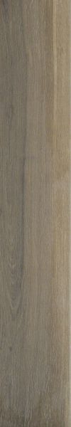 Shaw Floors Home Fn Gold Ceramic Revolution 6×36 Walnut 00700_TGN66