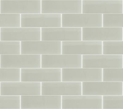 Shaw Floors Toll Brothers Ceramics Principal 8×24 Glass Tile Mist 00250_TL76B