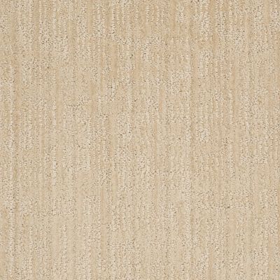 Anderson Tuftex Value Collections Ts148 Ivory Oats 00213_TS148