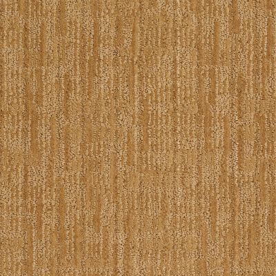 Anderson Tuftex Value Collections Ts148 Amber Grain 00226_TS148