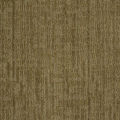 Anderson Tuftex Value Collections Ts148 Garden Medley 00325_TS148