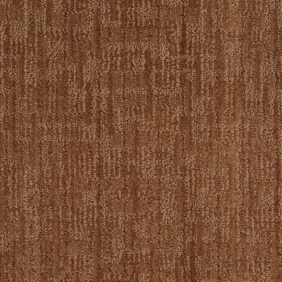 Anderson Tuftex Value Collections Ts148 Autumn Bark 00765_TS148