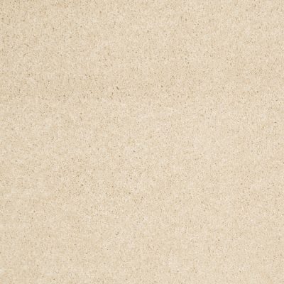 Anderson Tuftex Value Collections Ts279 Dream Dust 00220_TS279