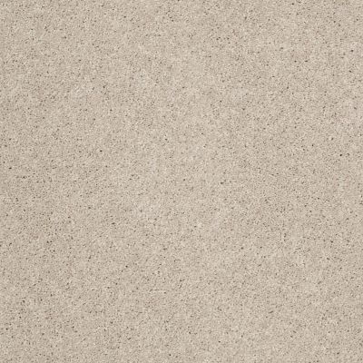 Anderson Tuftex Value Collections Ts279 Cement 00512_TS279