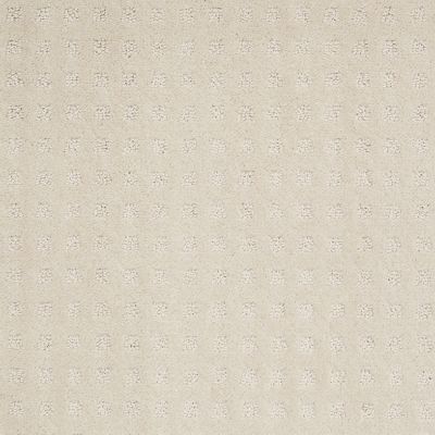 Anderson Tuftex Value Collections Ts342 Mild Ivory 00120_TS342