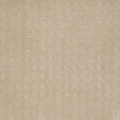 Anderson Tuftex Value Collections Ts342 Honey Beige 00122_TS342