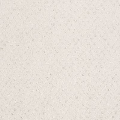 Anderson Tuftex Value Collections Ts348 Alpine Lace 00101_TS348