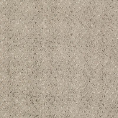Anderson Tuftex Value Collections Ts348 Shy Beige 00112_TS348