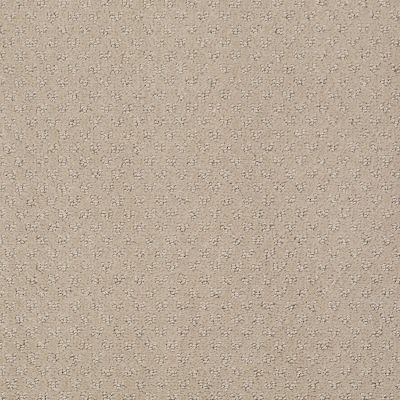 Anderson Tuftex Value Collections Ts348 Terrazo 00114_TS348